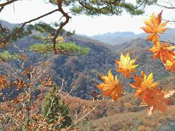 给儿媳喝打胎药视频大全(婆婆喝堕胎药打胎视频)